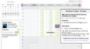 Screen shot of the main Tungle calendar view. You can hover over a meeting to see its details.